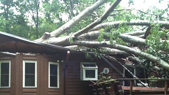 Storm cleanup Buford