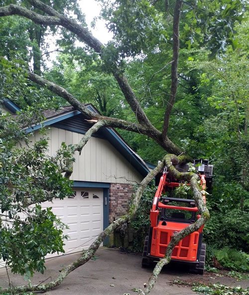 stump removal Braselton Georgia