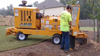 tree removal services near me Lawrenceville