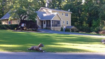 Ez Out Tree Service Reliable And Affordable Tree Services In Lawrenceville Ga And Surrounding Areas