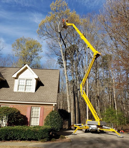 emergency tree services Braselton